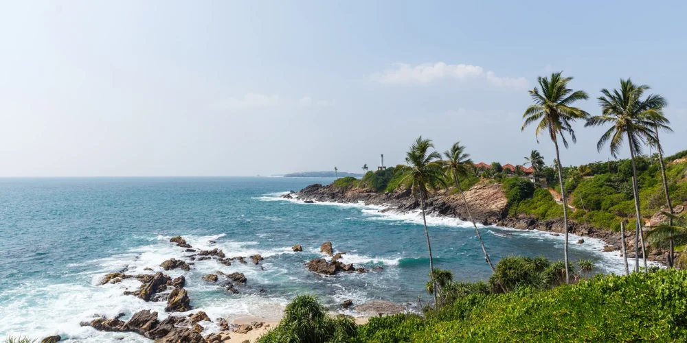 beautiful-scenic-view-of-palm-trees-om-coastline-a-2024-11-11-03-45-37-utc
